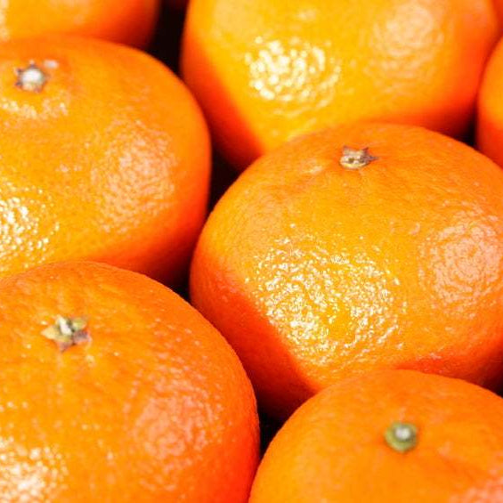 Mandarinas contra el sobrepeso