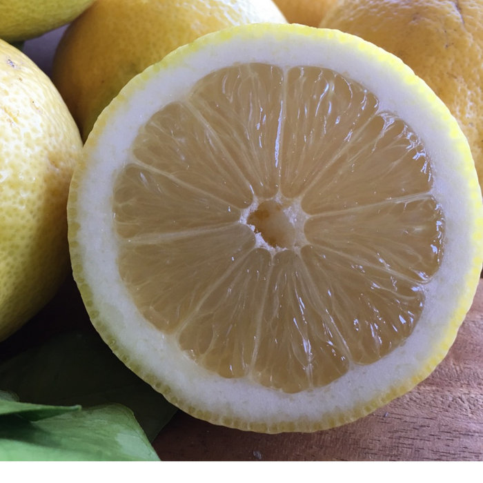 Mandarinas y limones: impulsores naturales del sistema inmunológico.