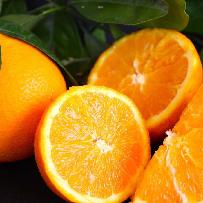 ¡YA TENEMOS NAVELATE! La mejor naranja fresca valenciana