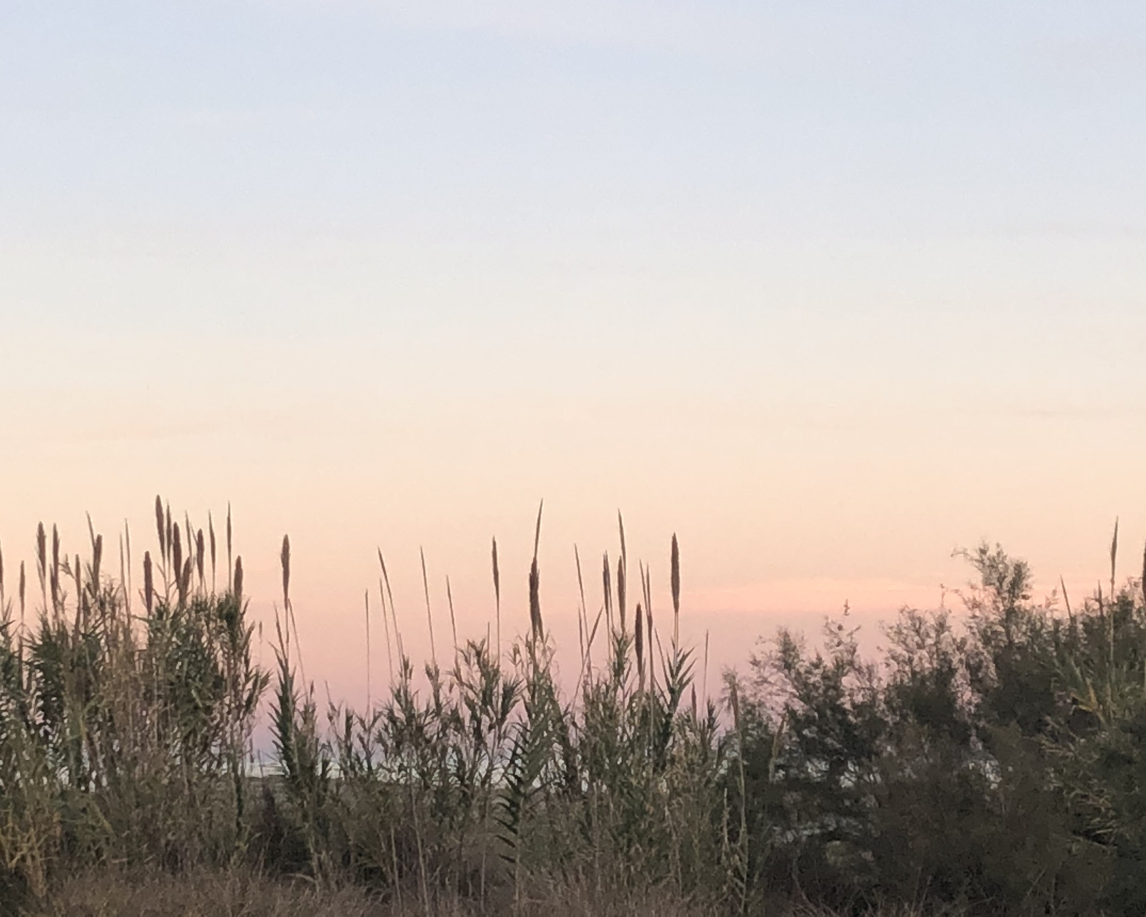 Red Natura 2000 — qué es, qué protege en Valencia y qué tiene que ver con los cítricos