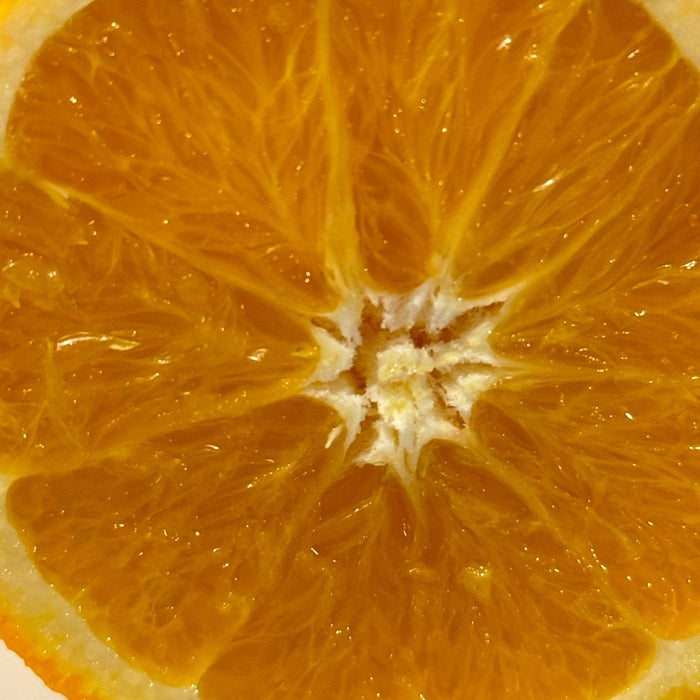 El impacto del clima primaveral en la calidad y sabor de las naranjas.
