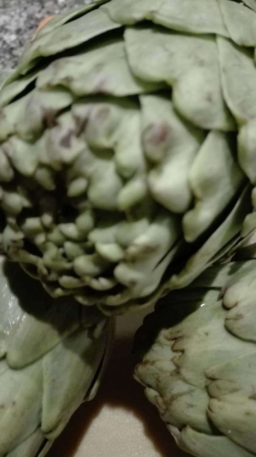 Alcachofas: curiosidades y una receta clásica