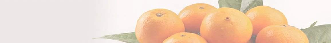Naranjas Valencianas directas del Agricultor