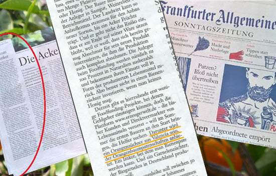 Foodfunding - Nuevo proyecto para la siguiente temporada