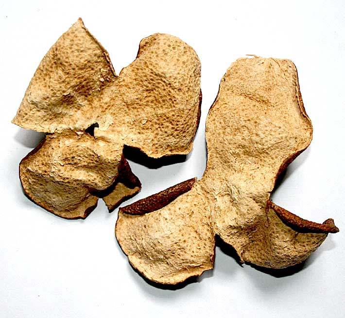 La piel de mandarina en la Medicina Tradicional China