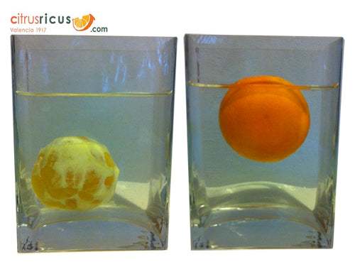 Experimenta con naranjas