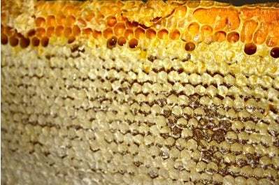 5 tratamientos de belleza con miel
