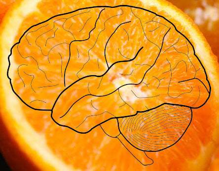 Mejores notas con frutas