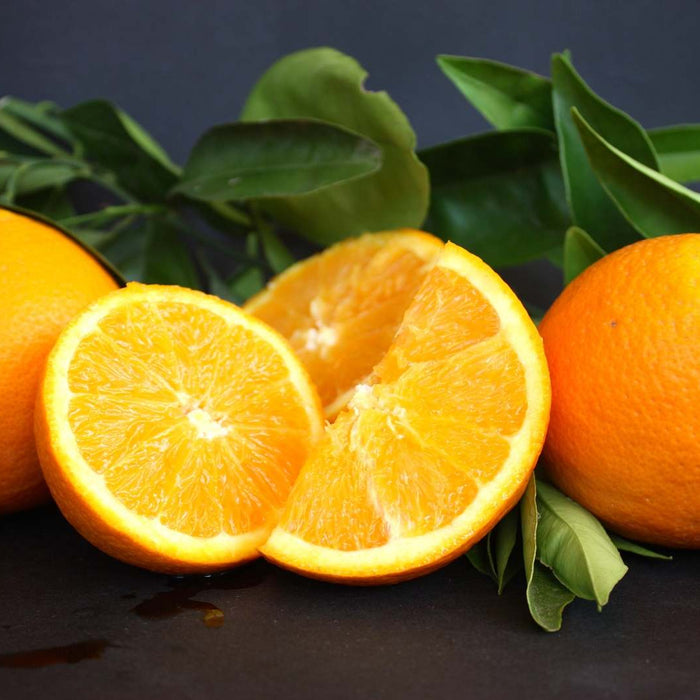 Todo lo hay que saber sobre la naranja