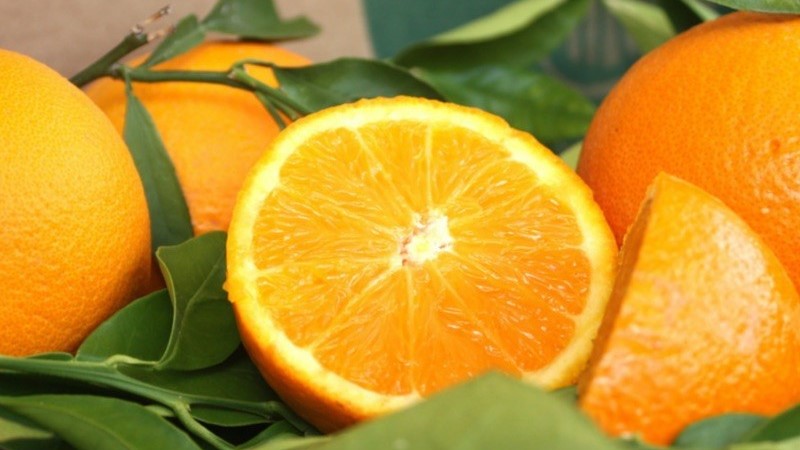 Naranjas Naturales para Zumo