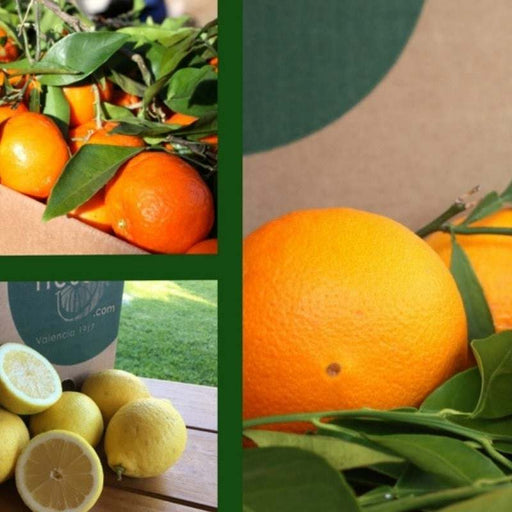 Apadrina un árbol mixto de naranja, mandarina y limón