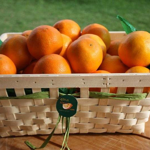 Cesta de Mimbre con Naranja, Mandarina y Limón