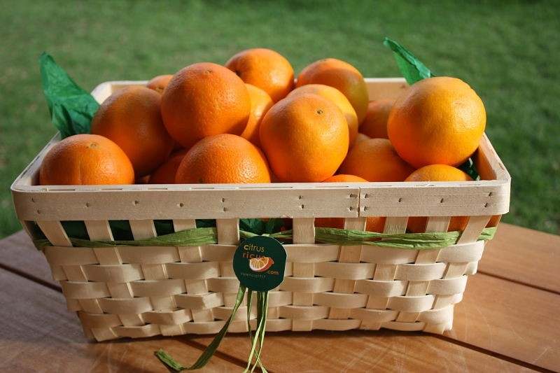 Cesta de Mimbre con Naranja, Mandarina y Limón