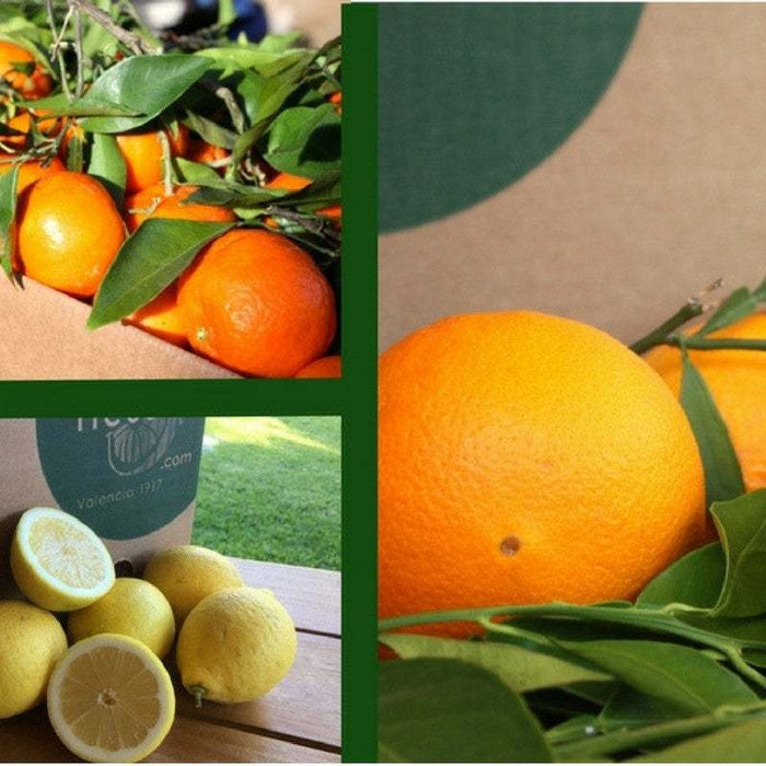 Orange mélangée, mandarine et citron 15kg