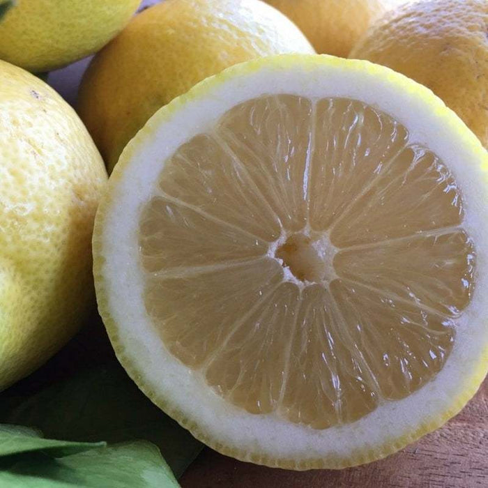 Juicy, tasty lemons