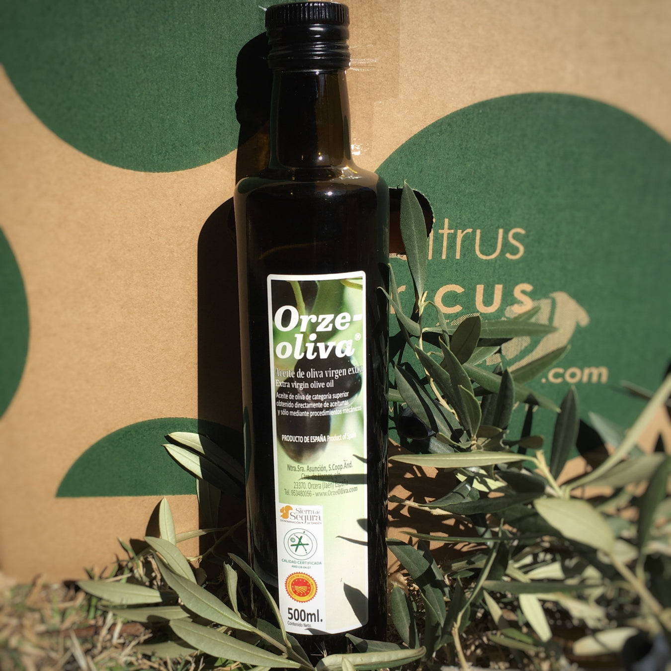 Olive Oil