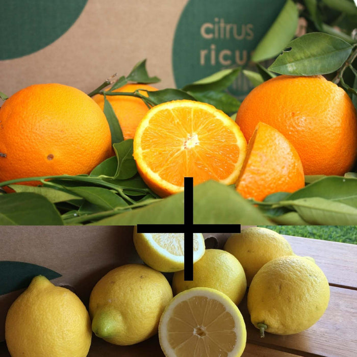 Caja mixta de naranjas y limones frescos de CitrusRicus