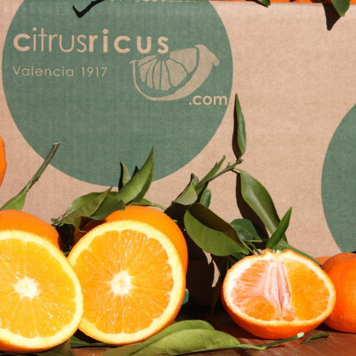 Caja mixta de naranjas y mandarinas frescas de CitrusRicus