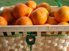 Cesta de mimbre con naranjas, mandarinas y limones frescos de CitrusRicus