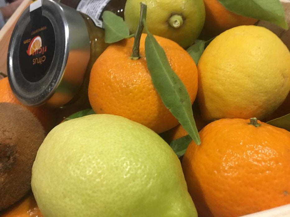 Fruta fresca incluida en la Caja Regalo de Navidad de CitrusRicus